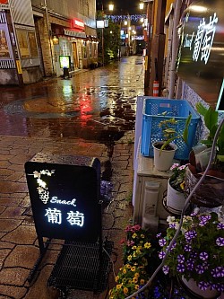 スナック葡萄，雨